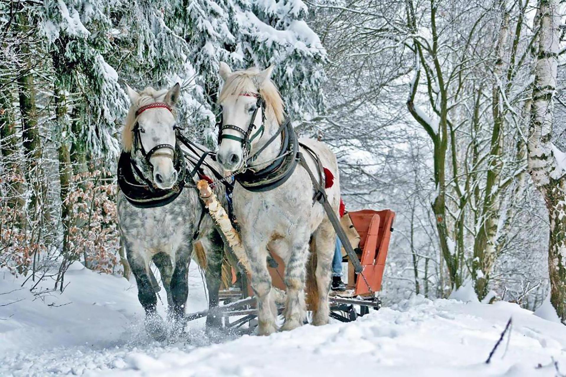 Gorska Osada Lovely Chalets Zakopane โปโรนิน ภายนอก รูปภาพ