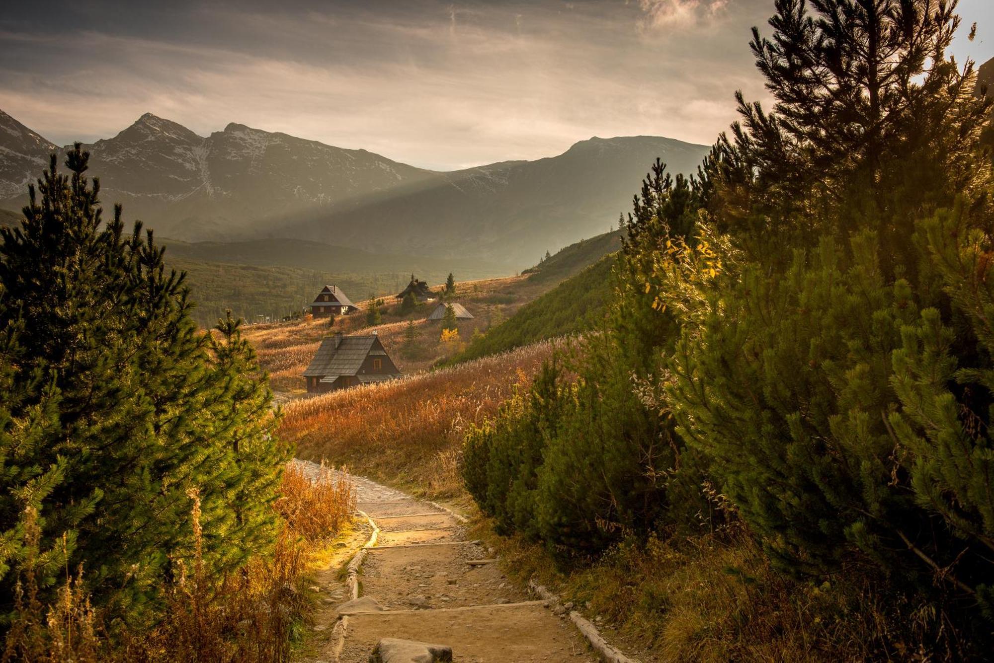 Gorska Osada Lovely Chalets Zakopane โปโรนิน ภายนอก รูปภาพ